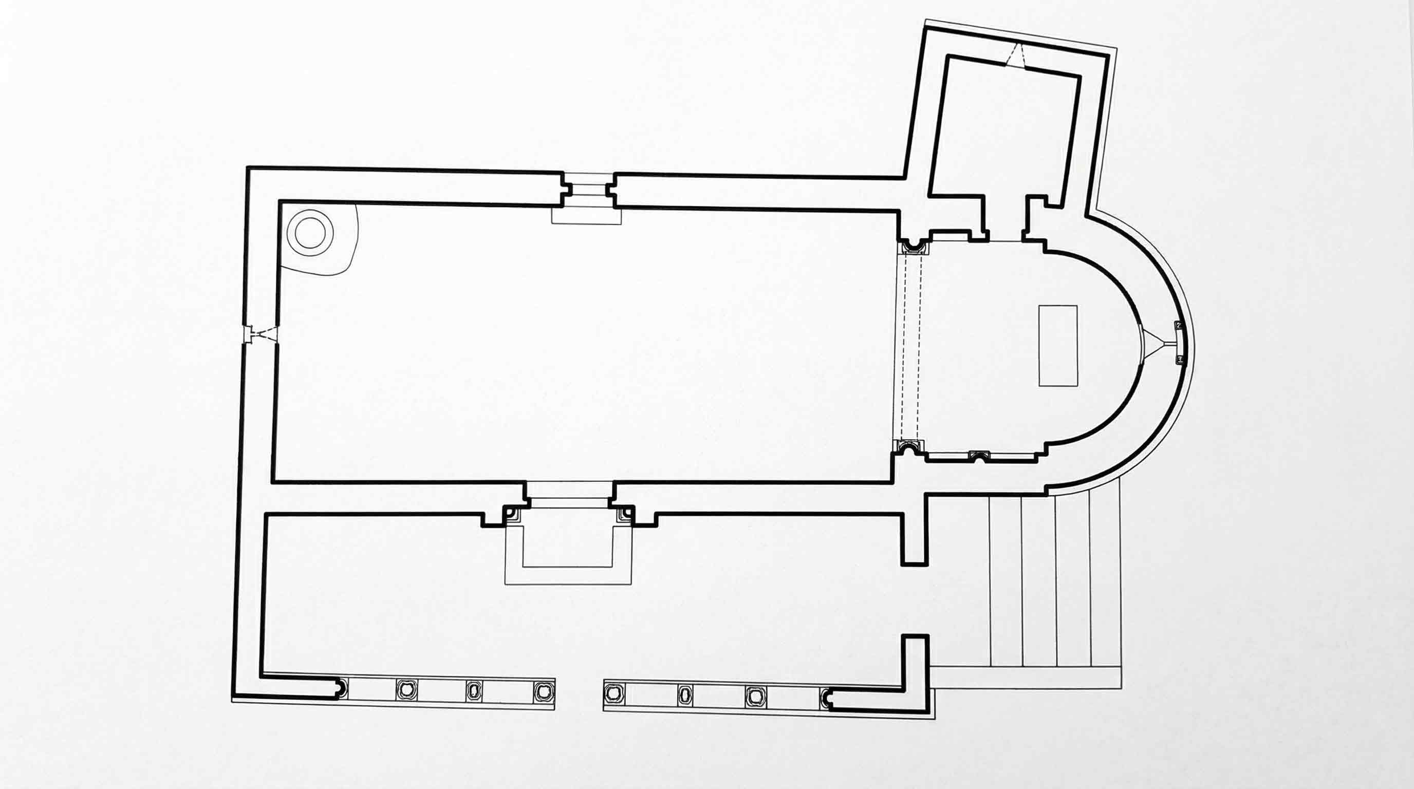Planta de San Martín
